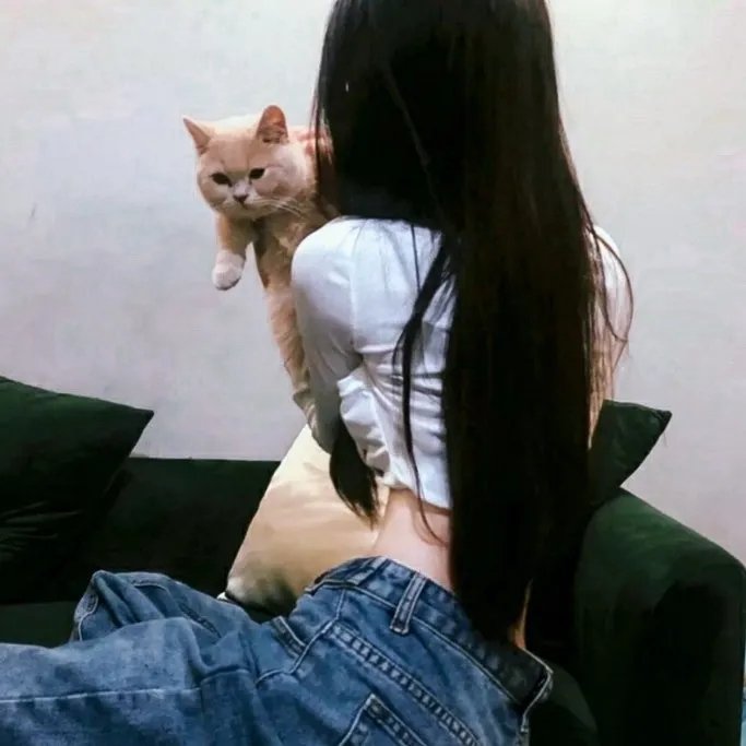 青春飞一般